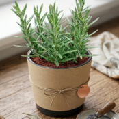 Gemini_Generated_Image_6vtisn6vtisn6vti