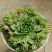 WhatsApp-Image-2021-10-18-at-00.19.58