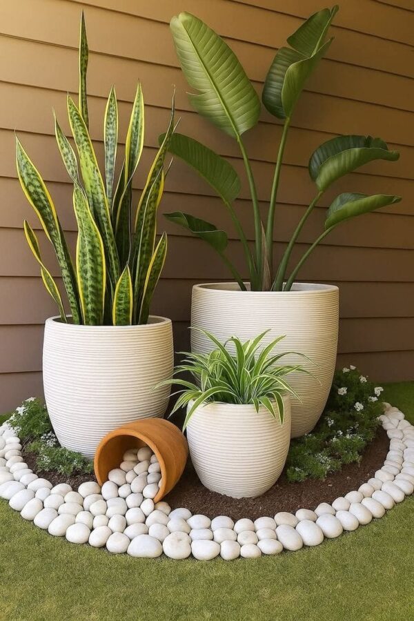 WhatsApp Image 2026-03-20 at 15.06.47 (1)