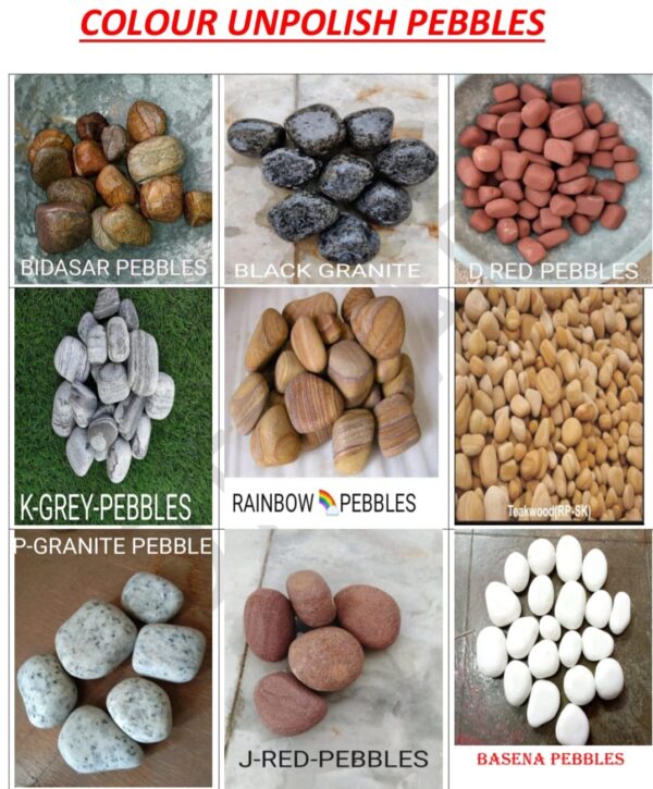 WhatsApp Image 2026-03-20 at 15.06.48 (1)