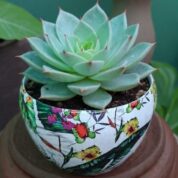 WhatsApp Image 2026-03-20 at 19.17.45 (1)