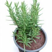 WhatsApp Image 2026-03-20 at 19.18.13