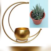 WhatsApp Image 2026-03-20 at 19.38.49