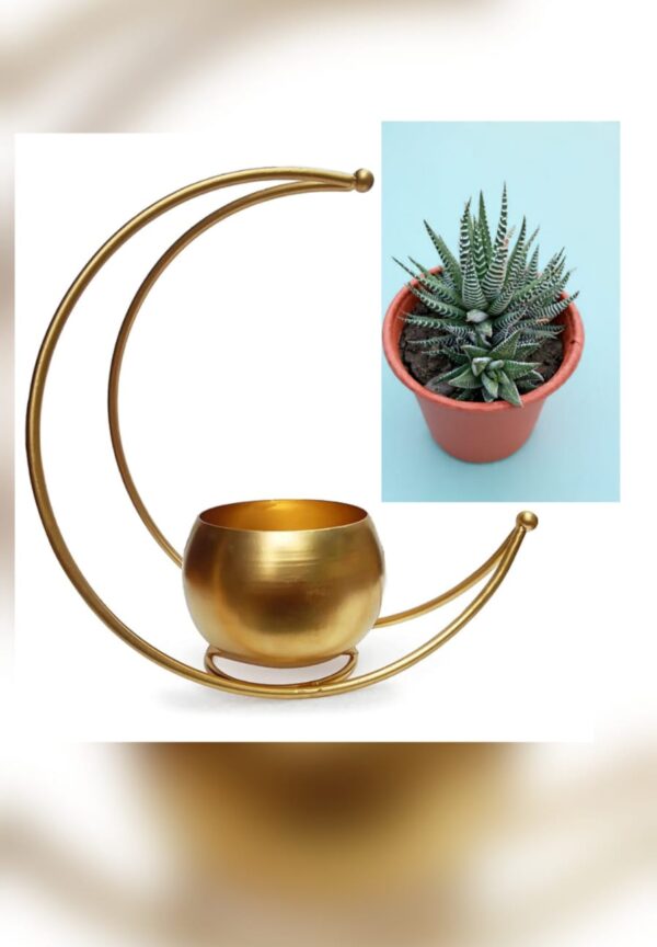 WhatsApp Image 2026-03-20 at 19.38.49